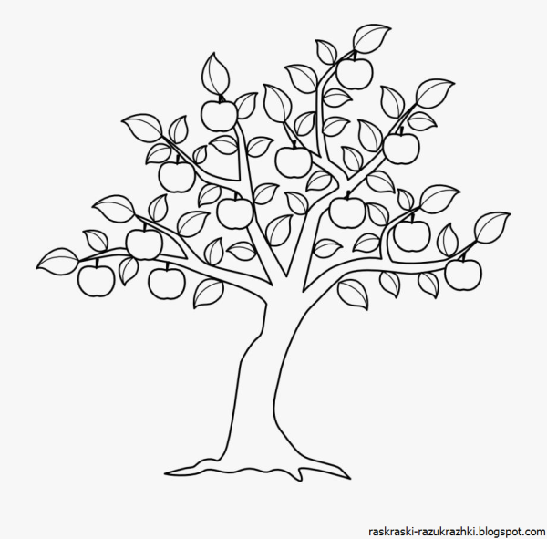 рисунок яблоня карандашом для детей для срисовки