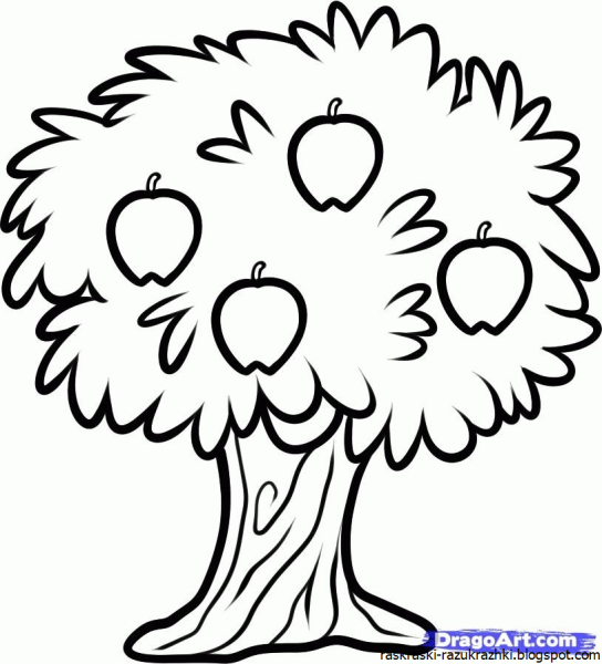 рисунок яблоня карандашом для детей для срисовки