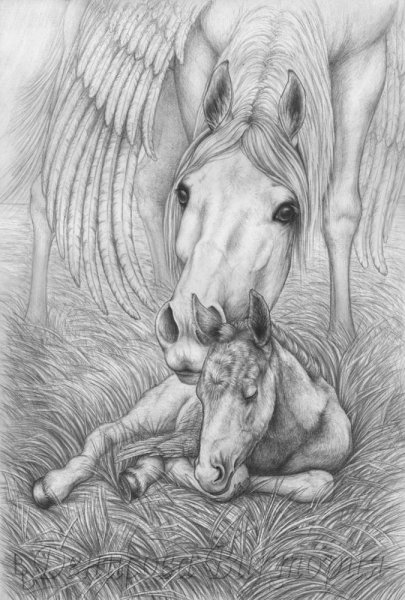 картина рисунок карандашом для срисовки