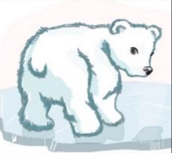 умка рисунок карандашом для срисовки