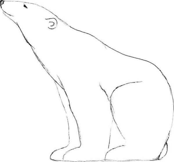 умка рисунок карандашом для срисовки