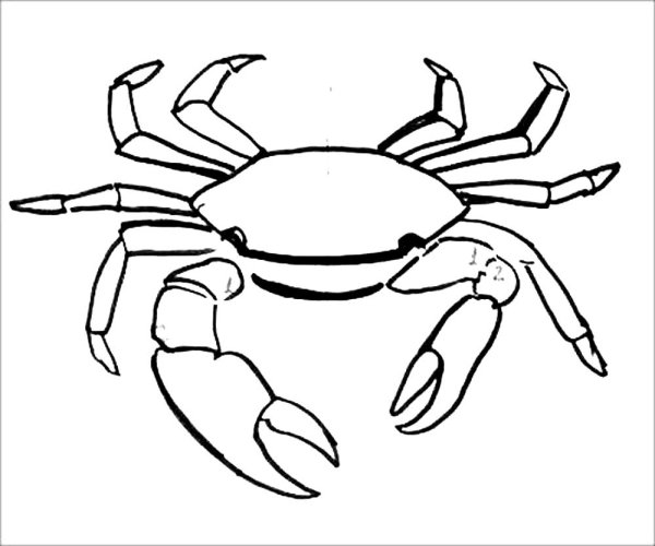 рисунок карандашом краб для детей для срисовки