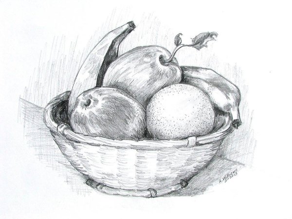 графический рисунок карандашом для срисовки